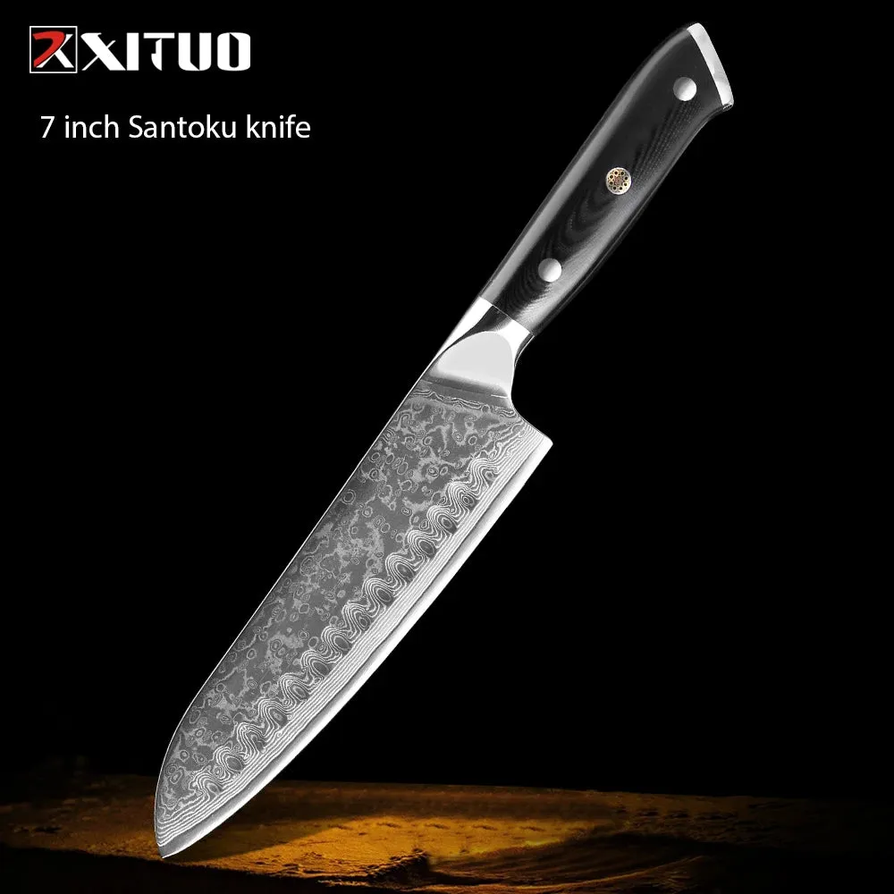 67 Layers Damascus Japanese Steel Kitchen Knives Multifunction with G10 Handle