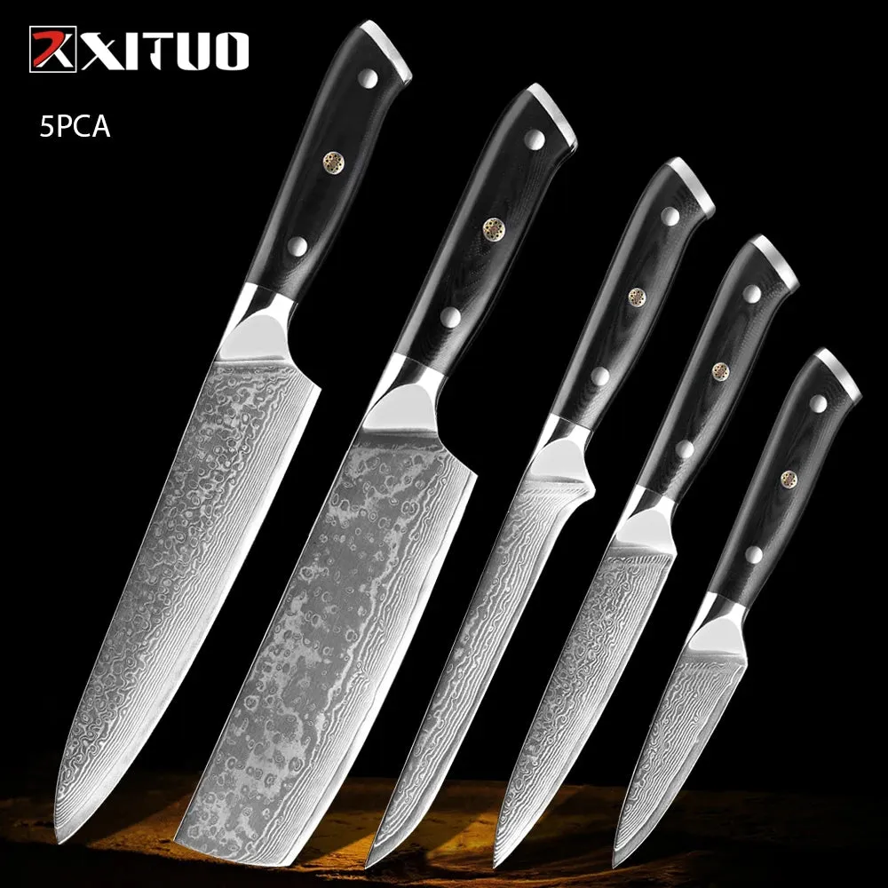 67 Layers Damascus Japanese Steel Kitchen Knives Multifunction with G10 Handle