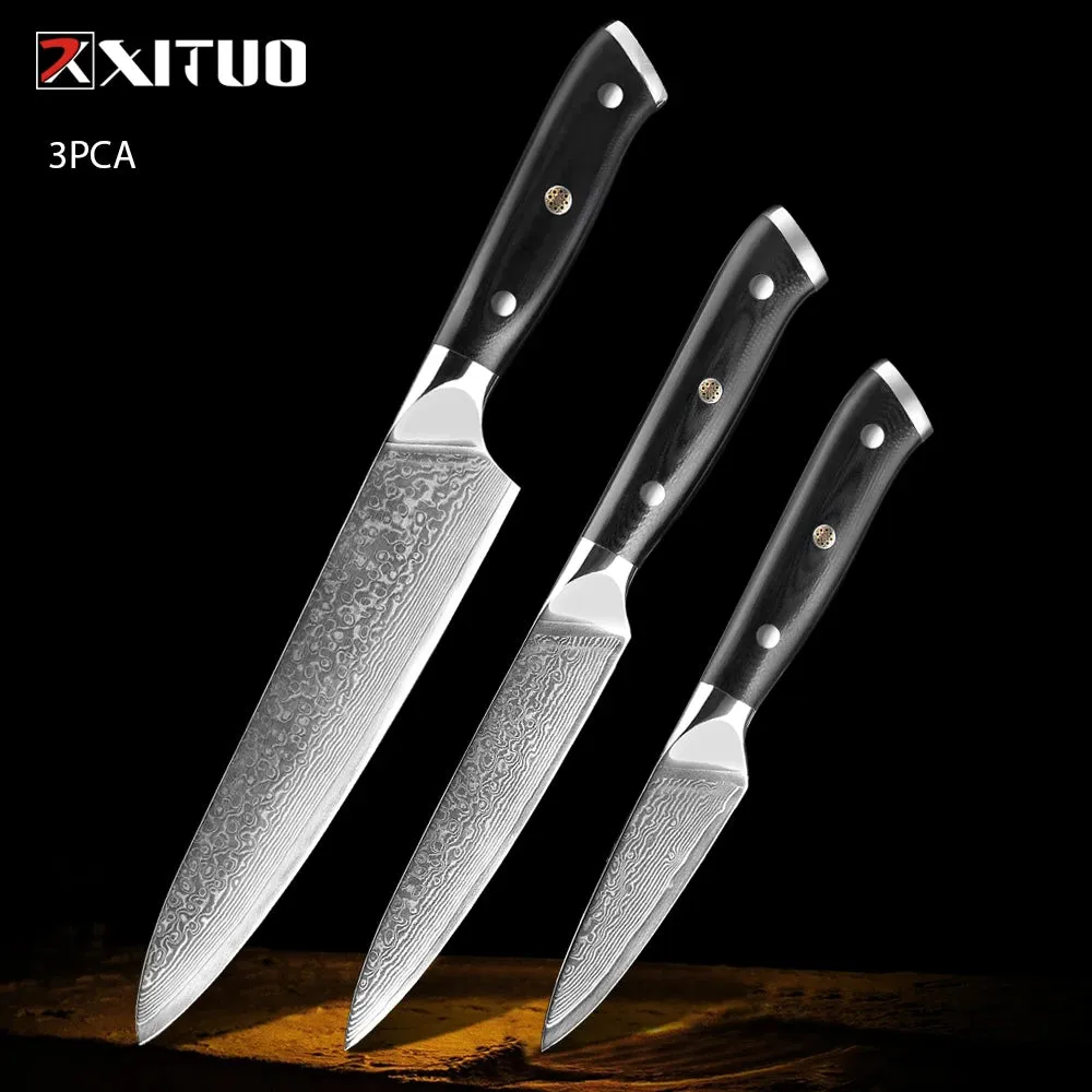 67 Layers Damascus Japanese Steel Kitchen Knives Multifunction with G10 Handle