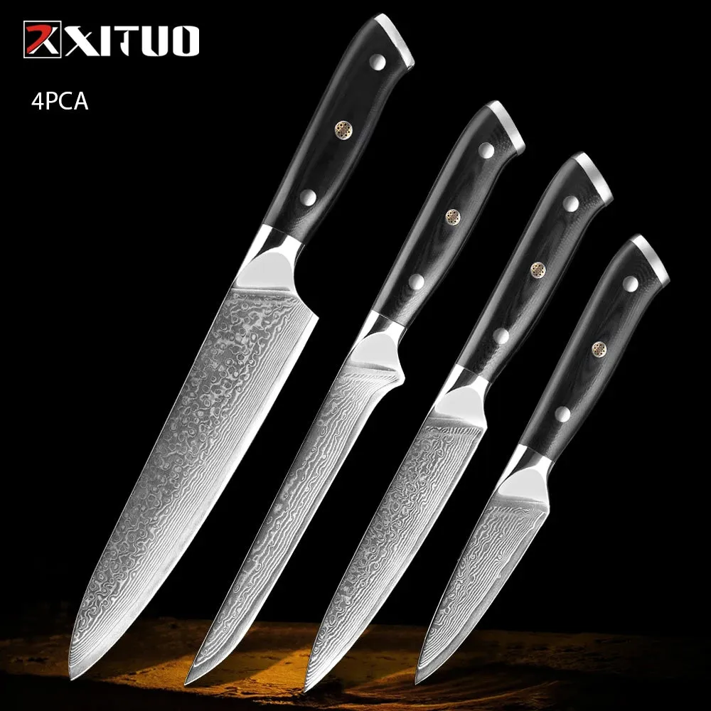 67 Layers Damascus Japanese Steel Kitchen Knives Multifunction with G10 Handle