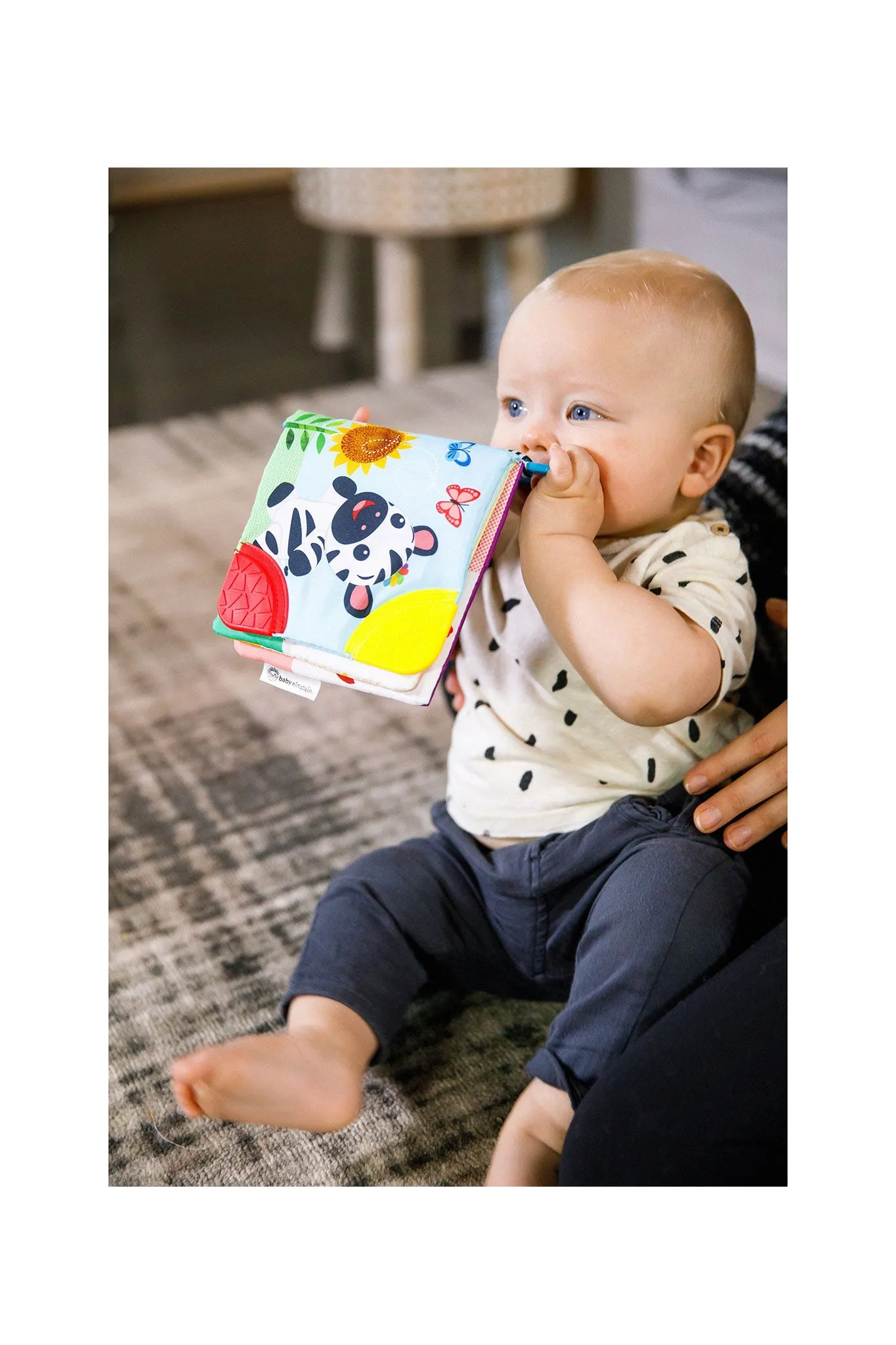 Baby Einstein Curious Explorers Teether Book