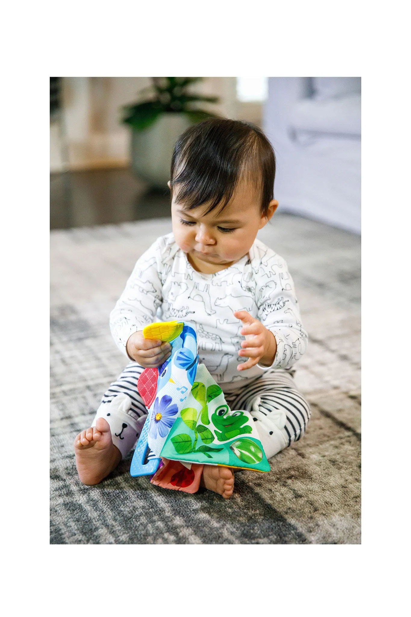 Baby Einstein Curious Explorers Teether Book