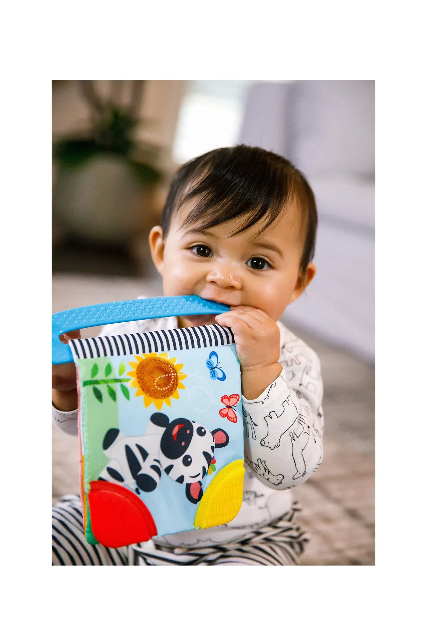 Baby Einstein Curious Explorers Teether Book