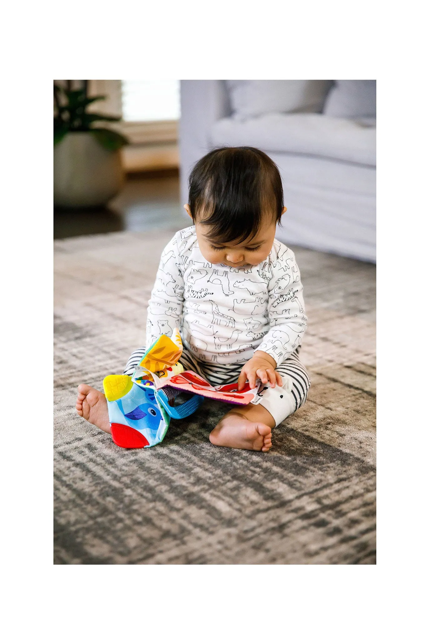 Baby Einstein Curious Explorers Teether Book