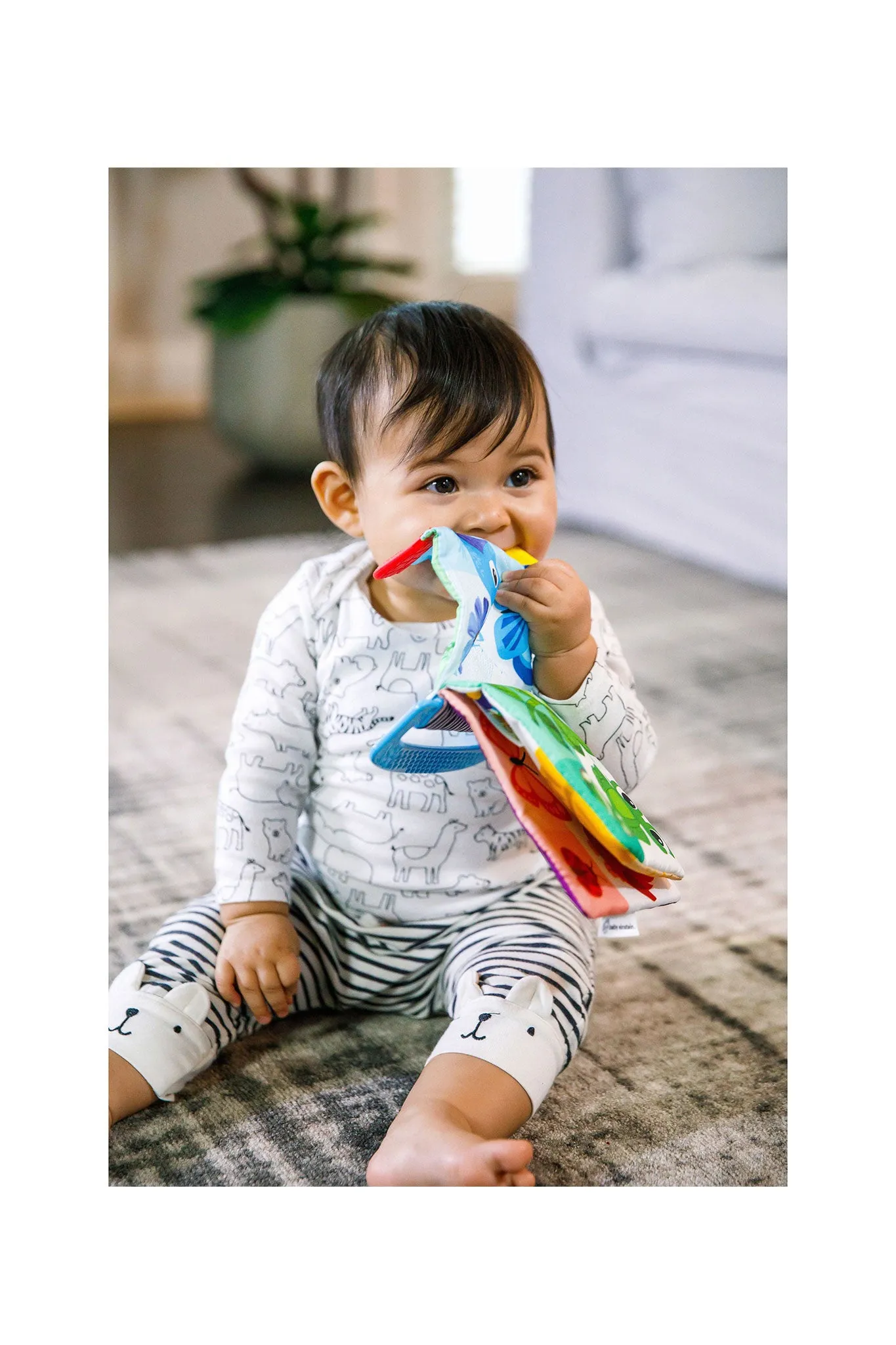 Baby Einstein Curious Explorers Teether Book