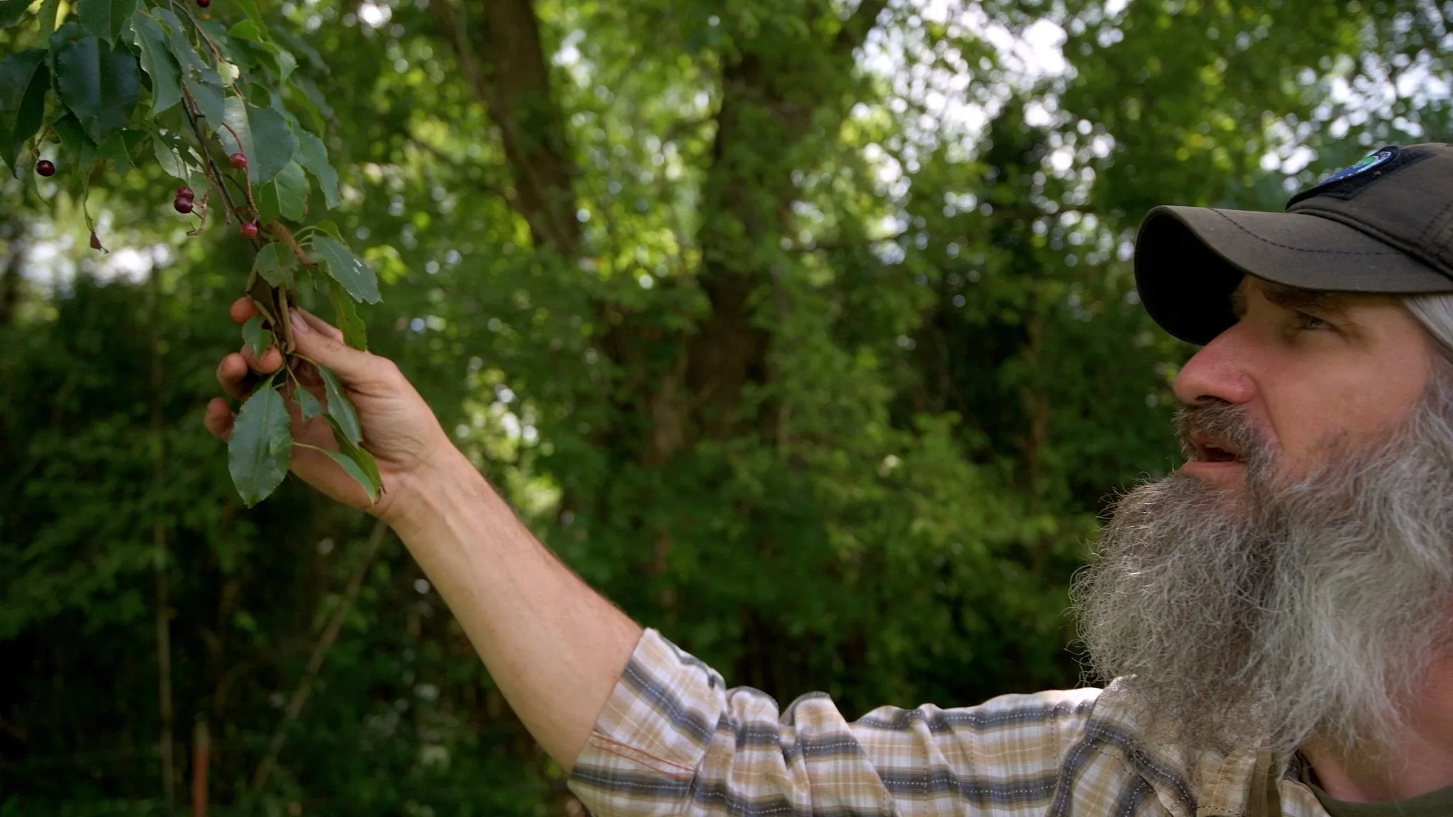 Into the Ozarks: Bushcraft Film with Joshua Enyart – Bushcraft Skills (Streaming, USB, and DVD)