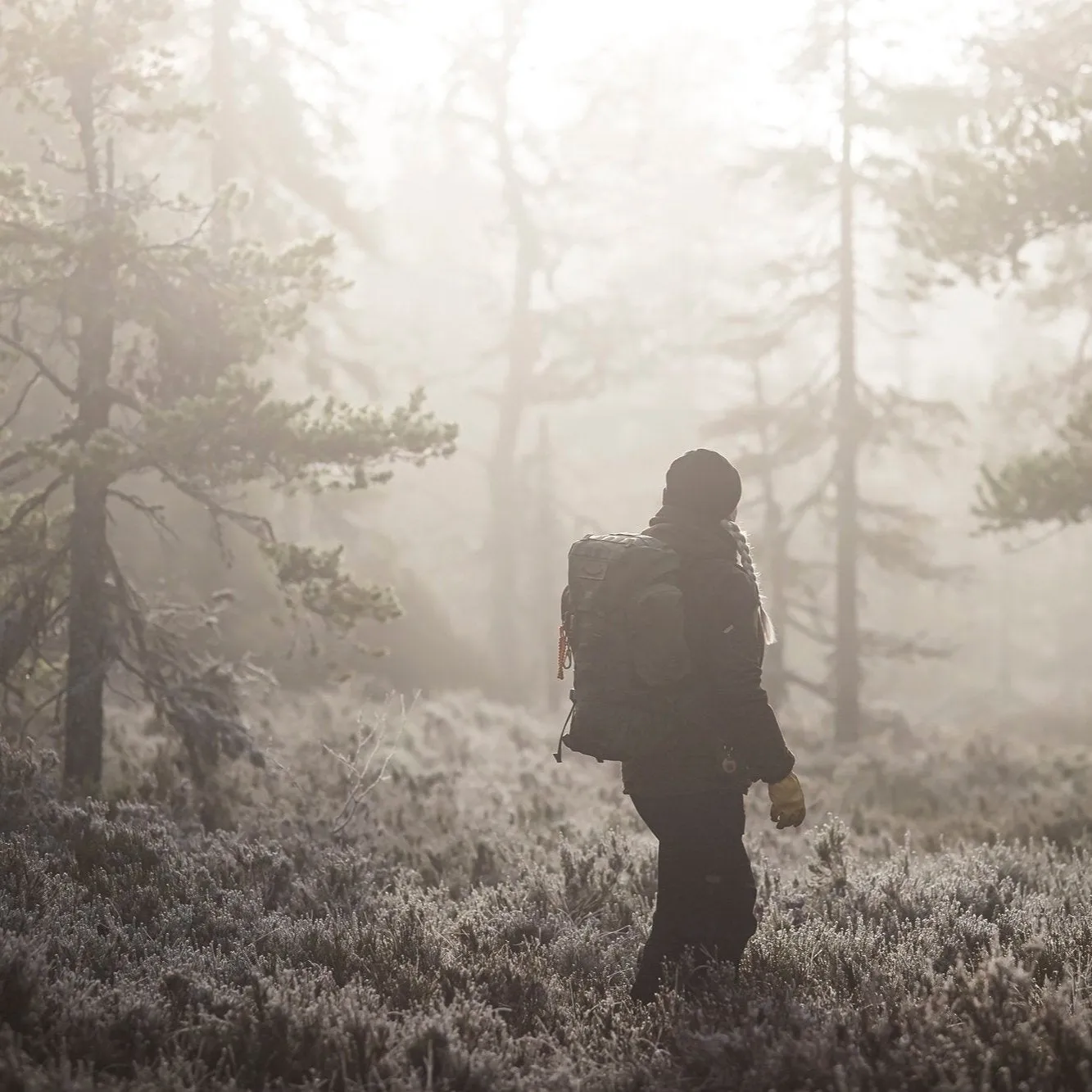 Winter Survival Course - Gray Bearded Green Beret Survival School