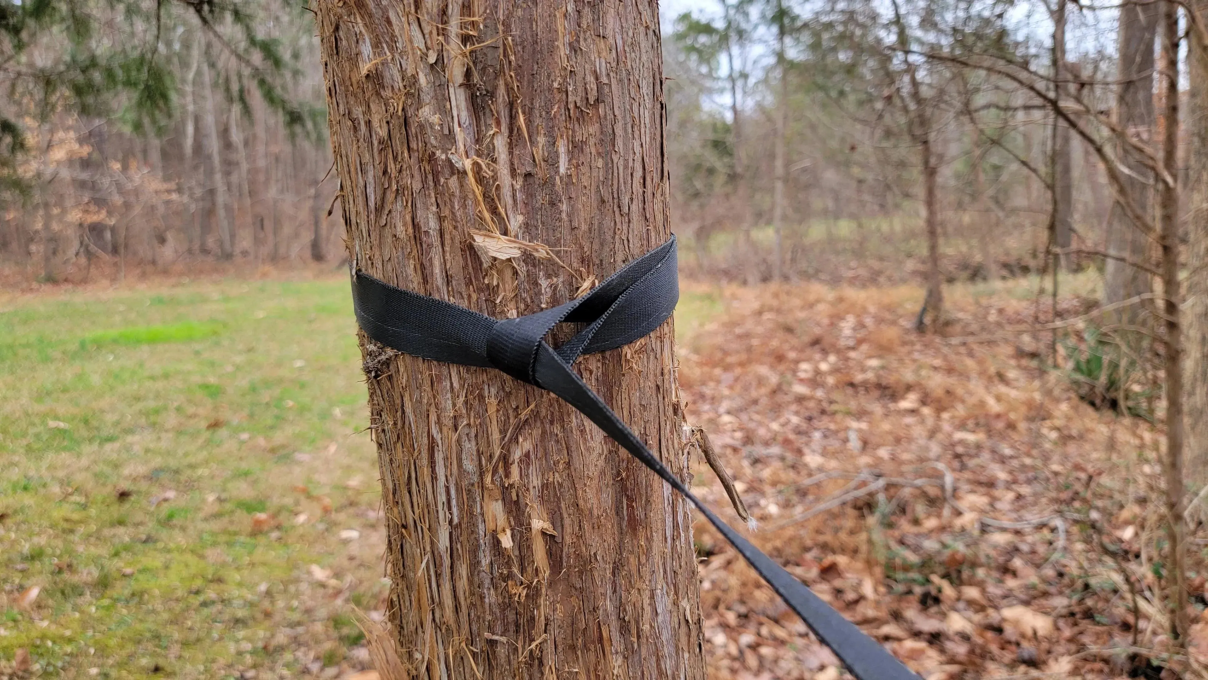 Yukon Outfitters | Freedom Hammock